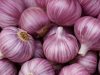 Garlic and Cloves: Two Treasures for Your Health