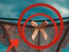 Understanding the Difference Between Panties With and Without Bows