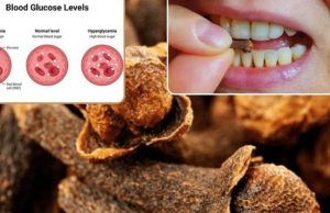 Cloves and Healthy Aging: Benefits and Precautions for People Over 50