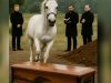 During the funeral, a horse suddenly emerged from the woods and ran straight toward the coffin — the attendees were stunned when they found out why the animal did this