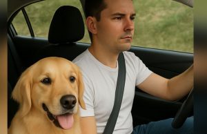 While driving in the car my dog was staring at me and barking loudly and then I noticed that she was looking at something else and something scary