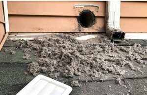 So brilliant, which I thought of this myself