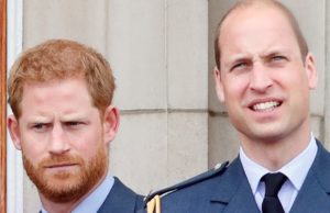 New details emerge about Prince William and Harry’s ‘physical fi:g:ht’ amid huge fallout