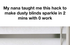 My nana taught me this hack to make dusty blinds sparkle in 2 mins with 0 work. Here’s how it works