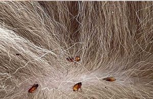 Wish I learned this years ago